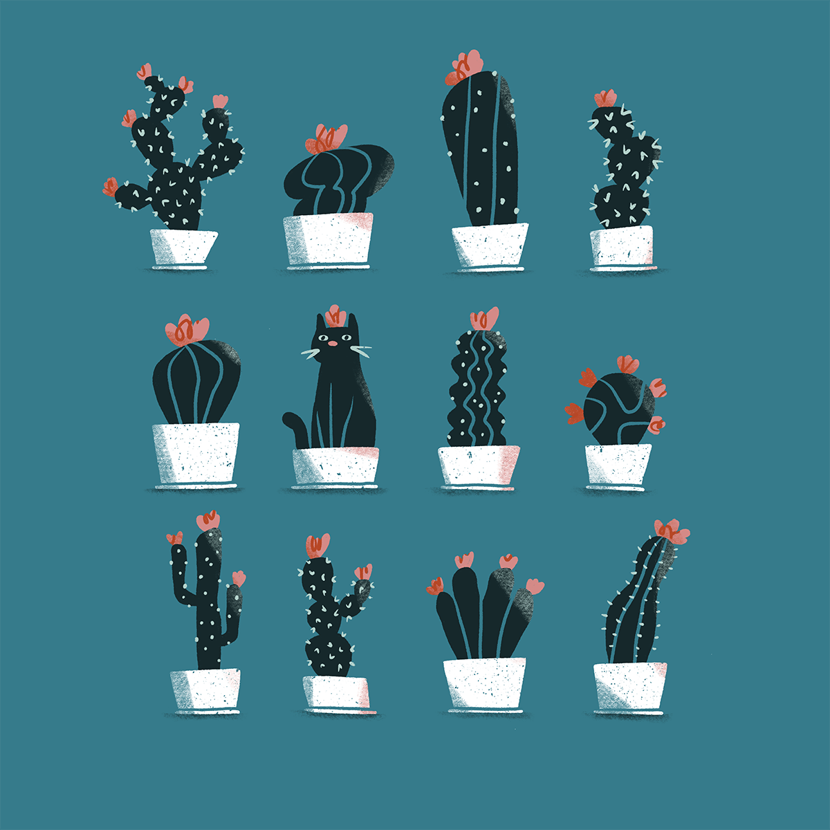 Sasha Kolesnik_cat and cactus_illustration