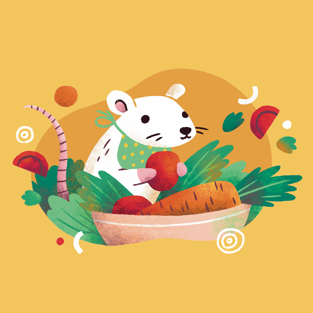 Sasha Kolesnik_mouse salad_Vetafarm_packaging illustration