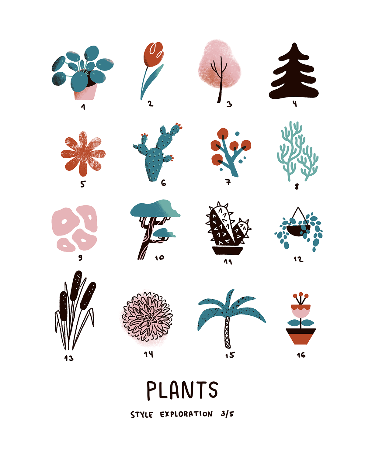 Sasha-Kolesnik_plants_illustration